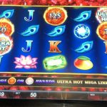 More Chilli dolphin reef slot machine Megaways Big time Gaming Remark & Free Demonstration