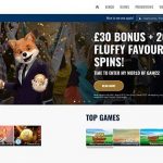 Fluffy Favourites Fairground Slot ᗎ Play Online & Discuss Incentive Have